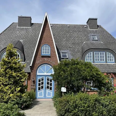 Strandkoje Daire Nebel