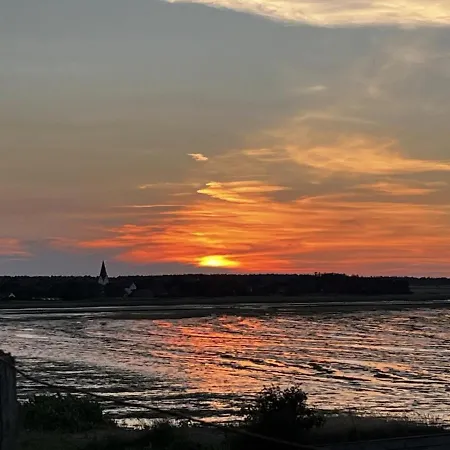 Daire Strandkoje Nebel