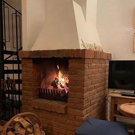 Daire Strandkoje Nebel