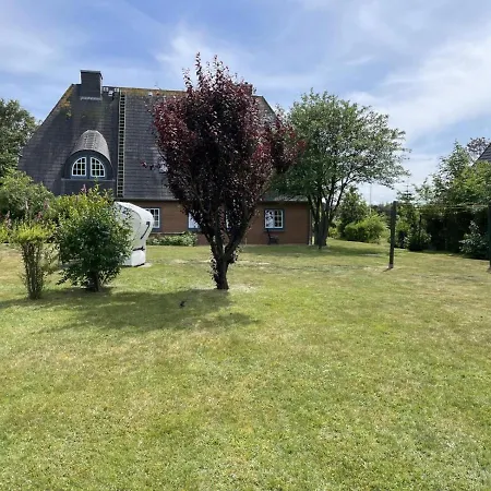 Strandkoje Daire Nebel