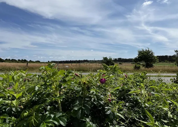 Appartement Strandkoje *